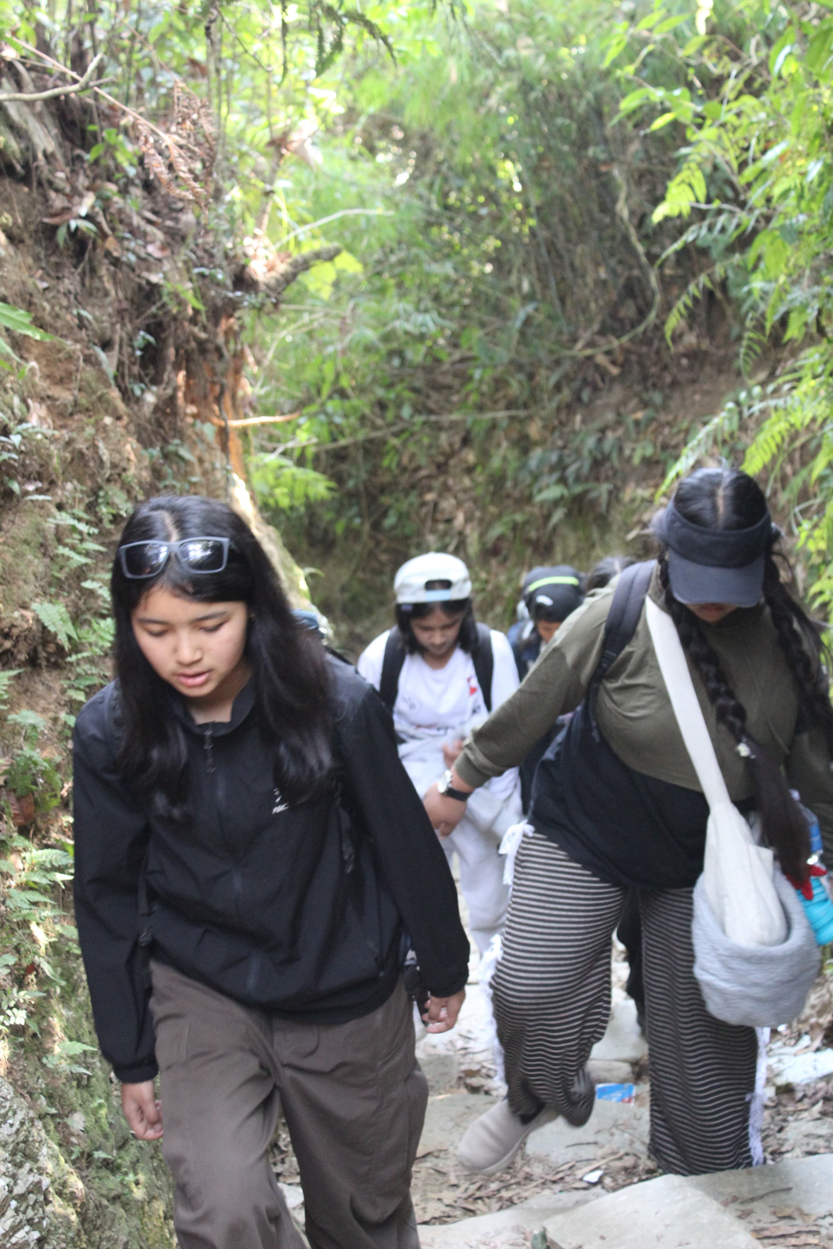 School Activity